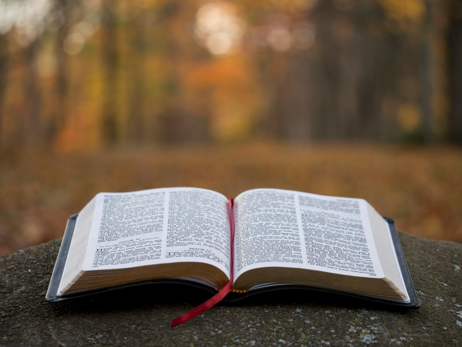 How Modern Media Shapes Religious Messages